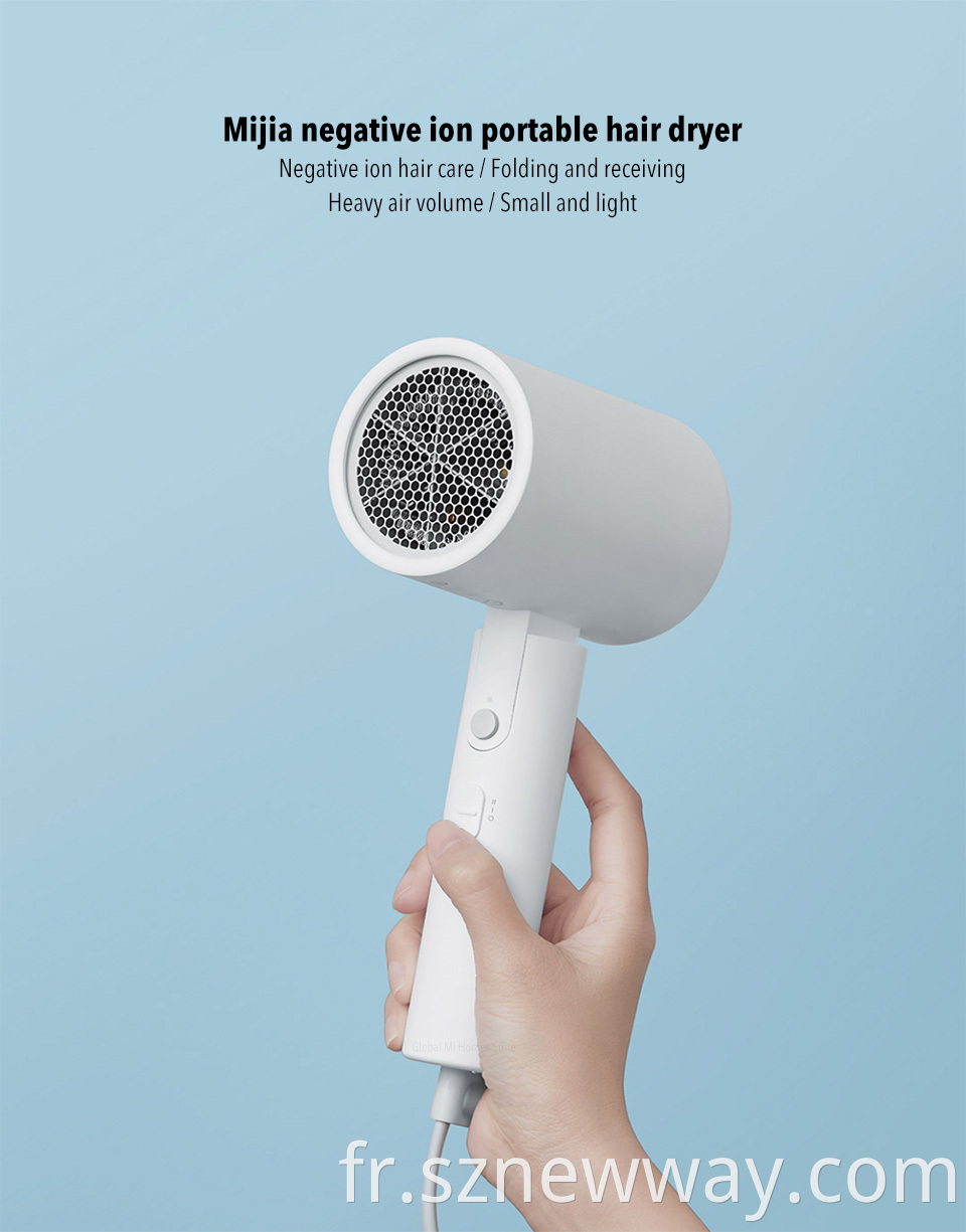 Xiaomi Hair Dryer H100